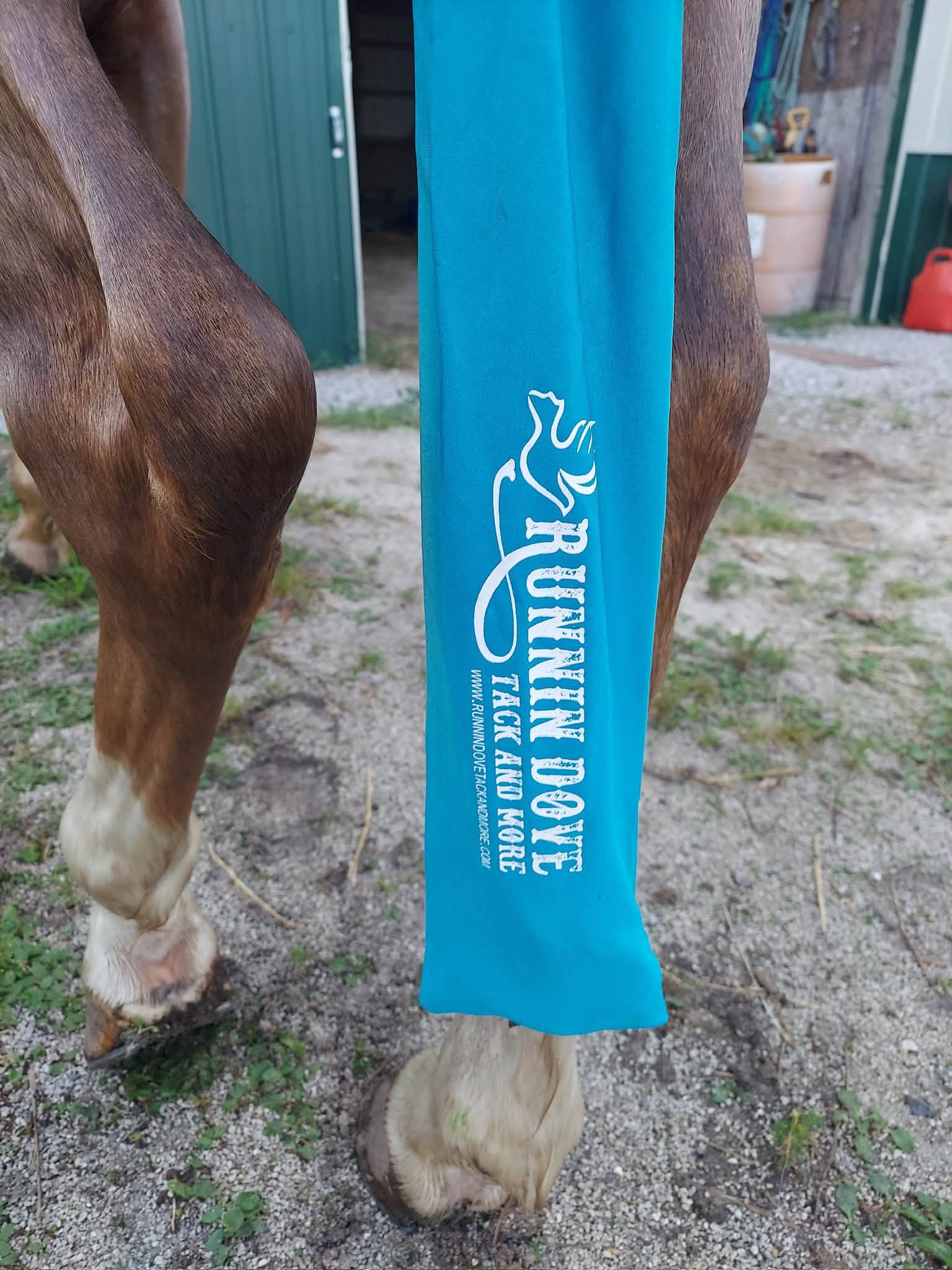 Runnin' Dove branded turquoise tail bag on horse