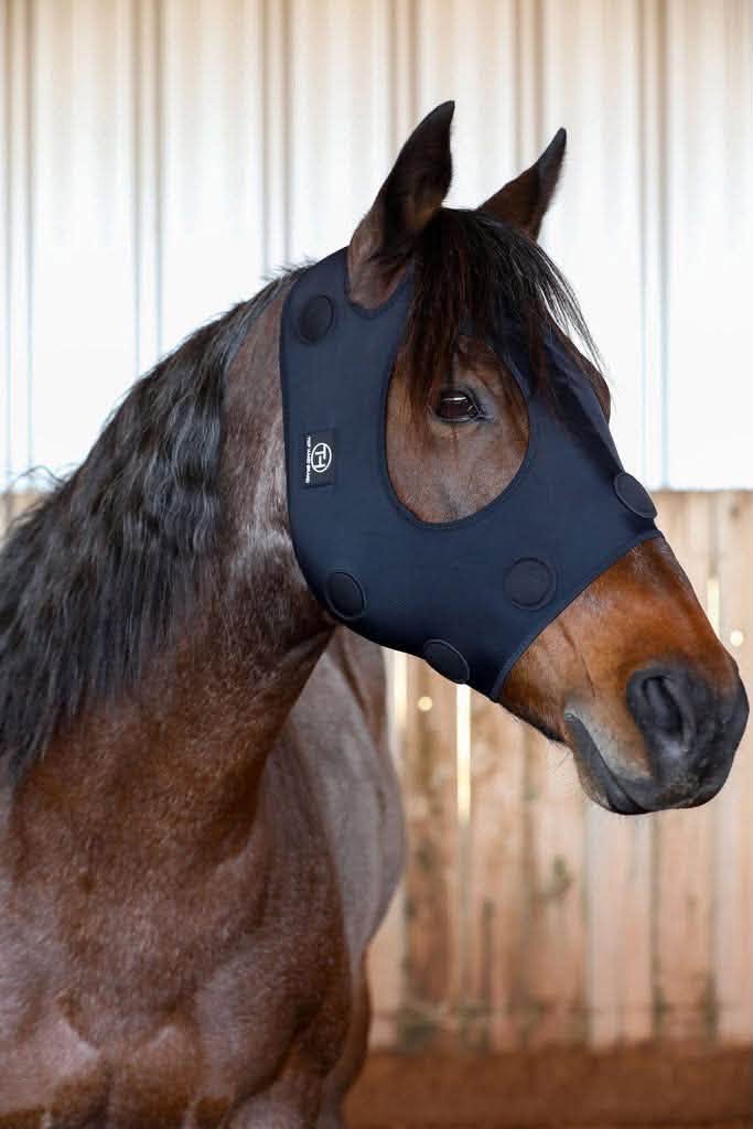 Top Hand Brand magnetic head mask on a bay horse