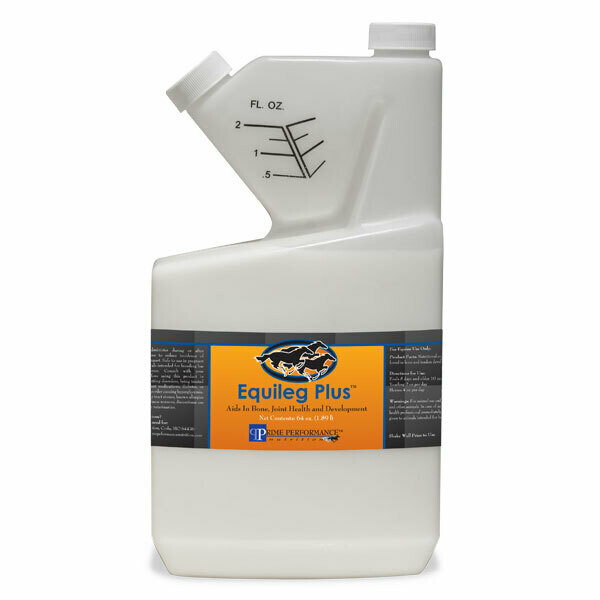 EquiLeg Plus