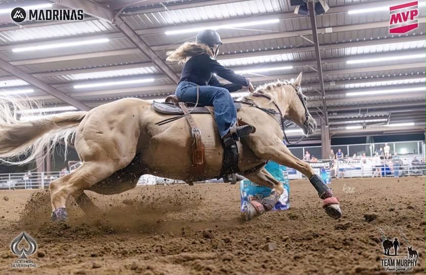 Silvy Batchelder on her palomino